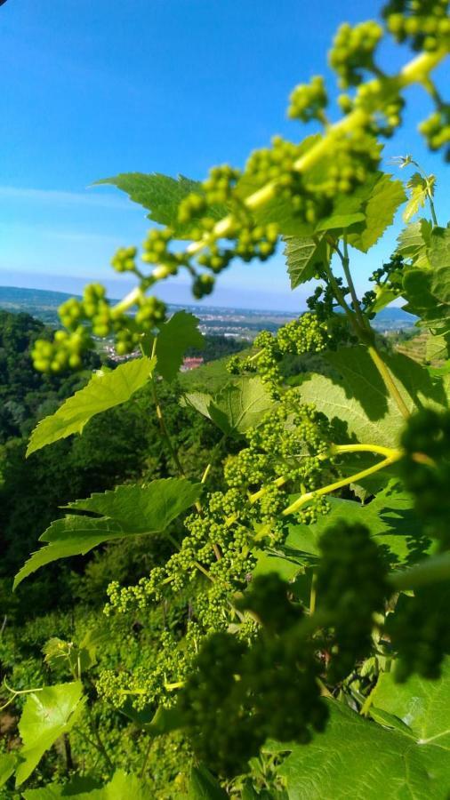 Seven Suites Pieve Pieve di Soligo Exterior foto