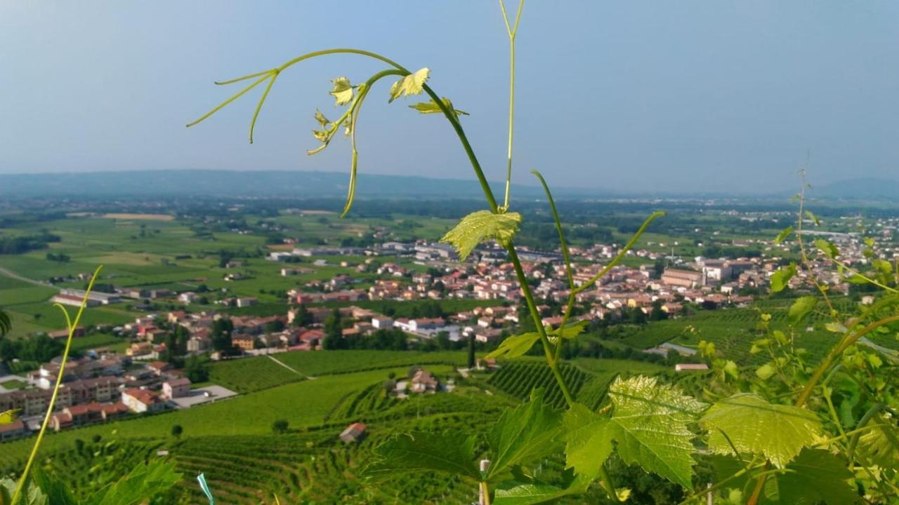 Seven Suites Pieve Pieve di Soligo Exterior foto